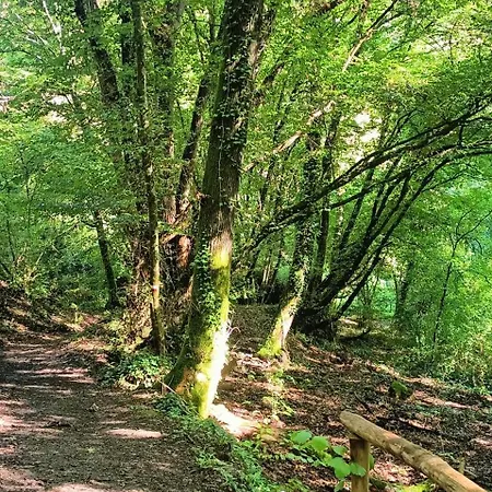 Διαμέρισμα La Contessa